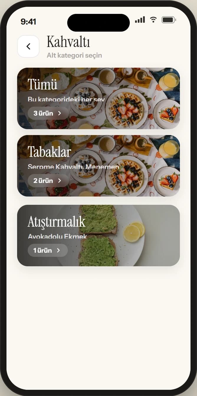 Kategori ve alt kategori ekranı: görselli kategori kartları ve ürün sayıları